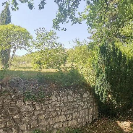 Tatil Evi Le Nid Des Coteaux Petite Maison Atypique Ebreuil
